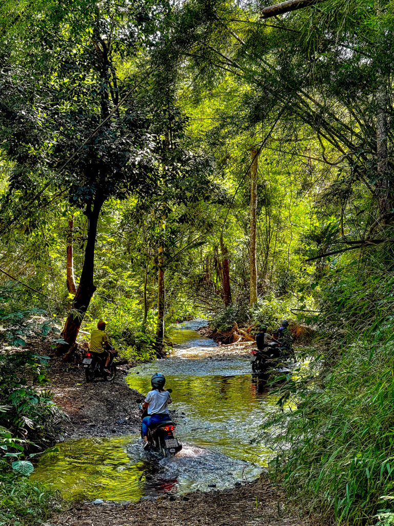 Riding a backroad on the River Cruise tour